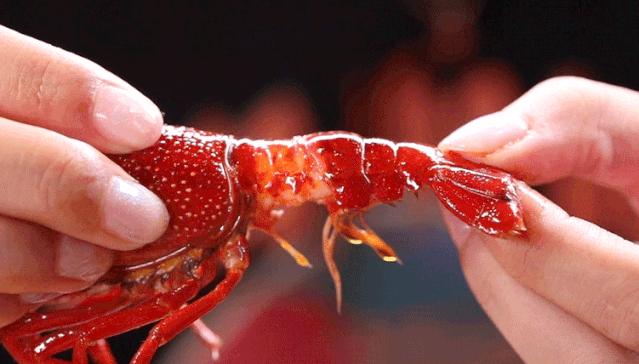 松哥油焖大虾南城榕树下店,松哥油焖大虾多少家店