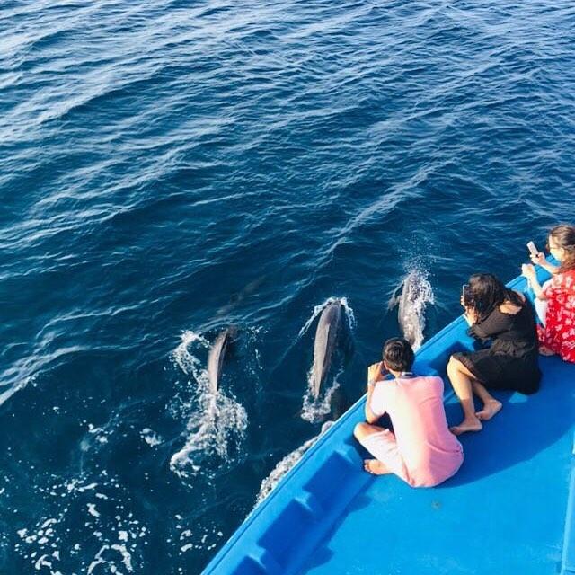 马尔代夫美居岛官网,马尔代夫美景攻略