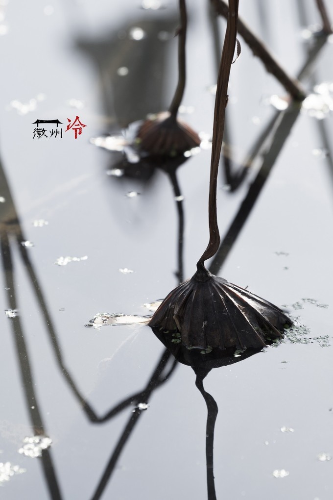 「徽州冷」宏村秋深晴少，友谊地久天