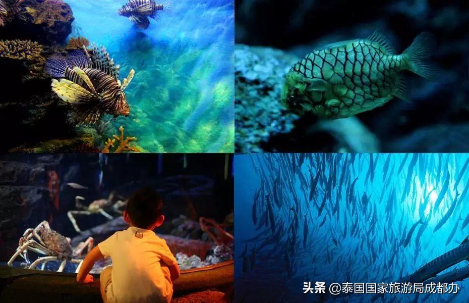 暑假去泰国旅游攻略,暑假去泰国玩好吗