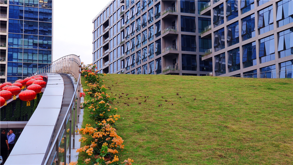 探MALL之旅：深圳九方荟，宛如逛公园一般的生态购物中心设计