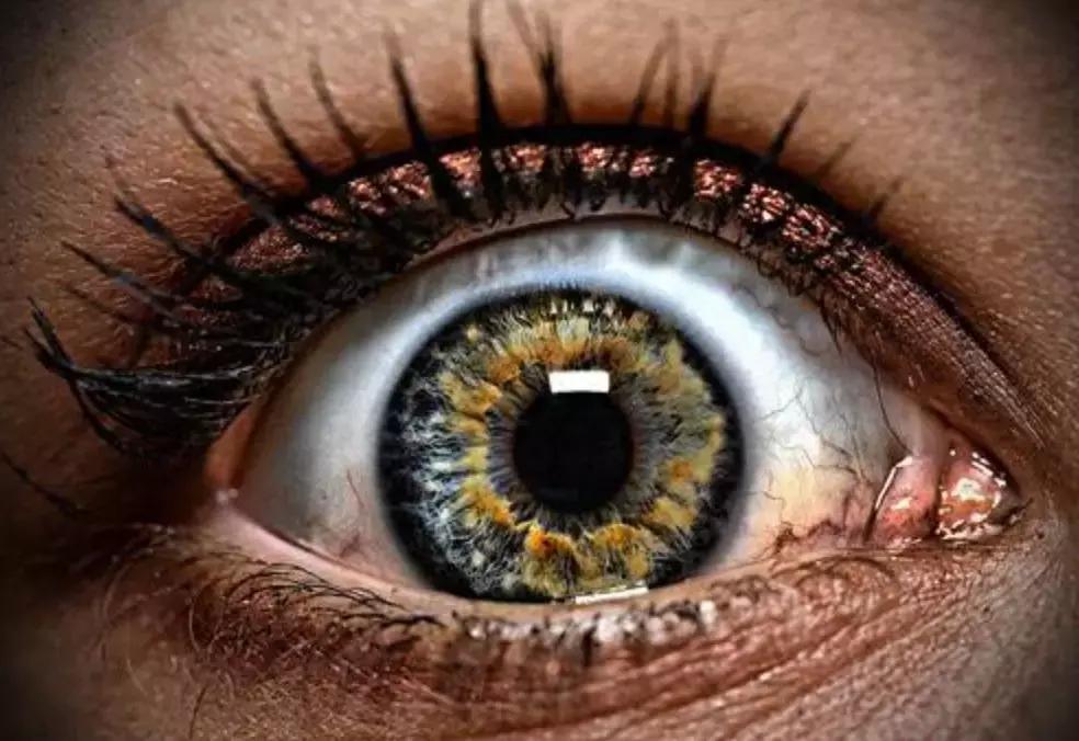 戴防蓝光眼镜真的可以预防近视吗,防蓝光眼镜有防治近视的效果吗