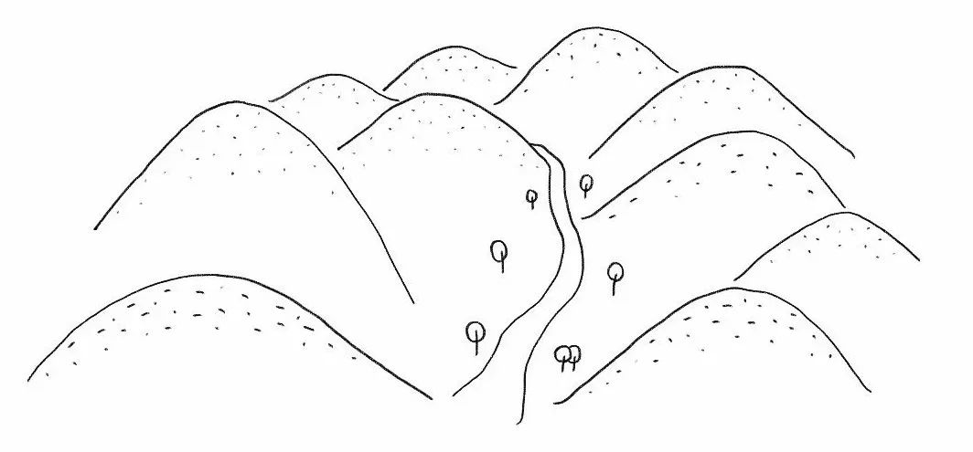 今年的野餐，我不允许你输给任何人