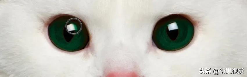 ps怎么把两只眼睛p成一样颜色,ps改图及抠图换背景颜色教程