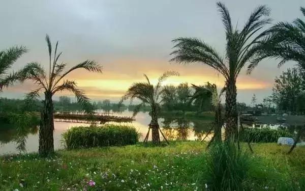 西昌邛海湿地公园旅游线路,西昌邛海湿地属于哪个省