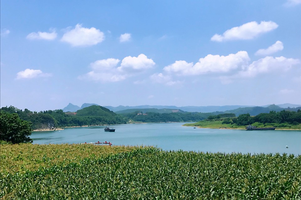 五月的风情图片,五月的风情感语录