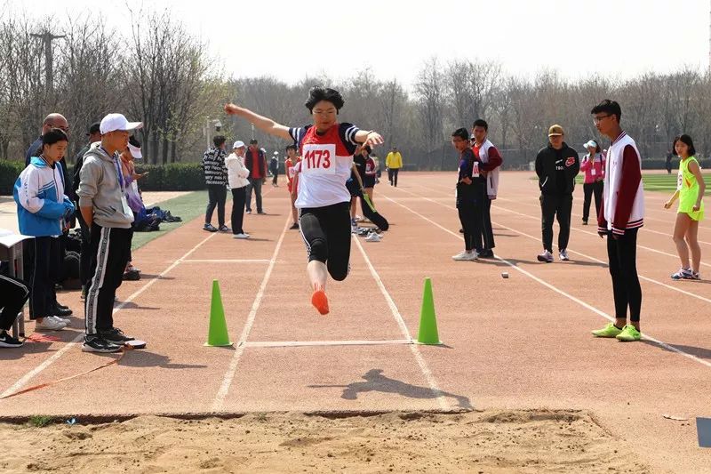 连破四项纪录！高新区中小学生田径运动会精中健儿成绩斐然