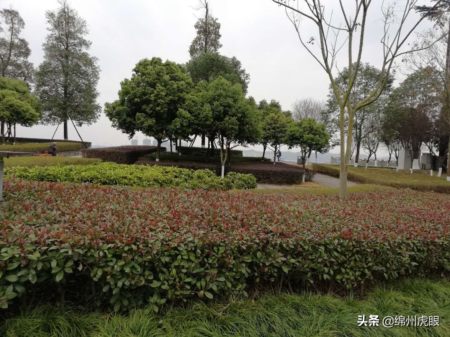 绵阳经开区金和天府房价,绵阳经开区小区房价