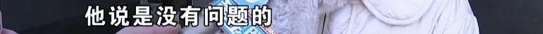 比熊犬刚买回来就死了,比熊从宠物店买回来生病了