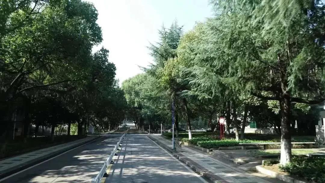 2022名校巡礼,名校巡礼大盘点