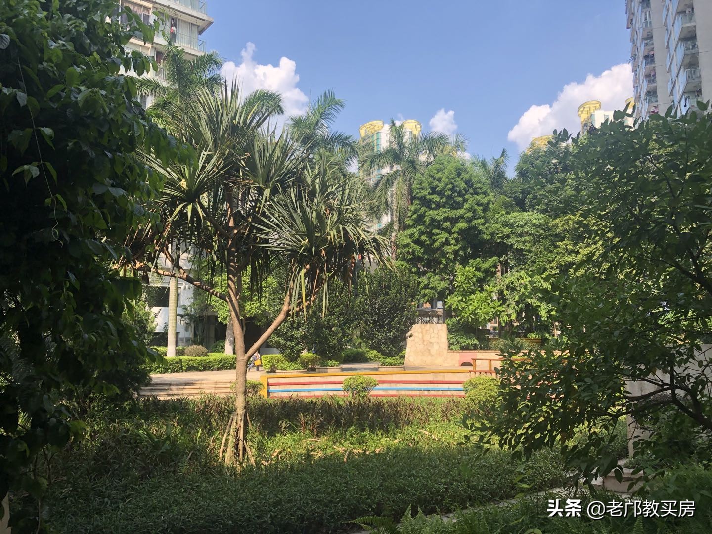 实验小学被打事件,实验小学发飙现场