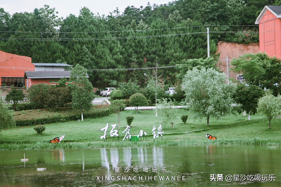 长沙小水果之乡,湖南长沙宝藏打卡地