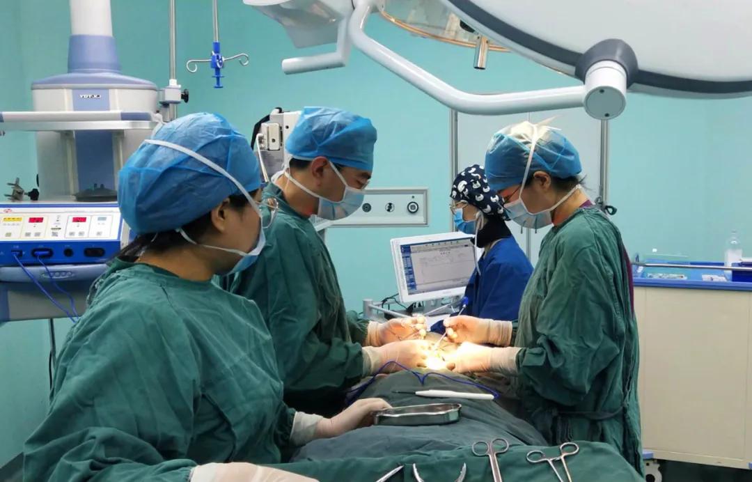 医院里的硬核技术,硬核医生硬核技术