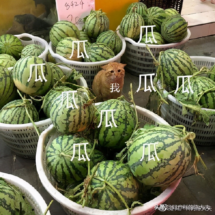 感冒常见护理方式,感冒的类型及护理方法