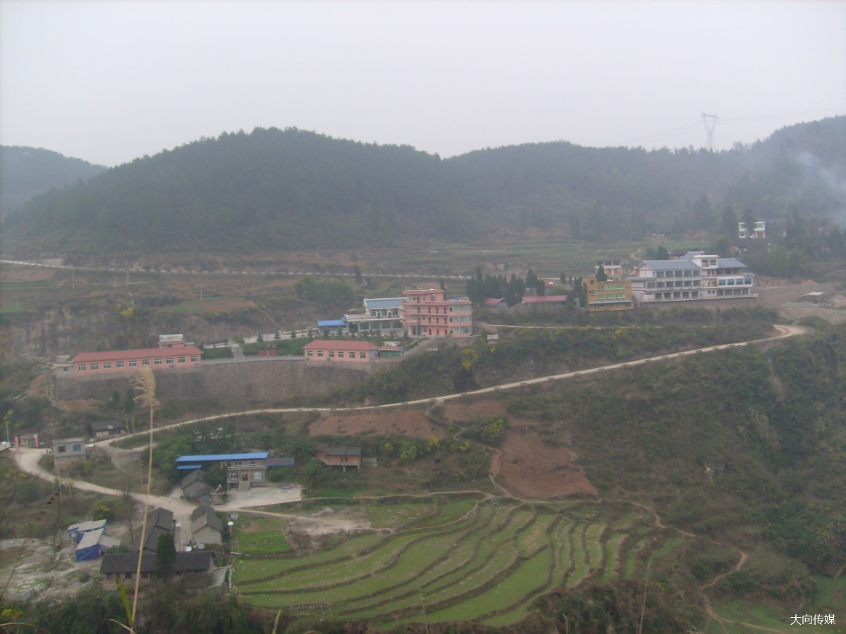 楠木渡前世今生,楠木渡镇名字的由来