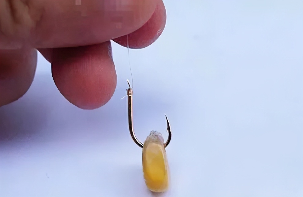 鱼饵怎么挂钩才挂得稳,正确鱼饵挂钩方法