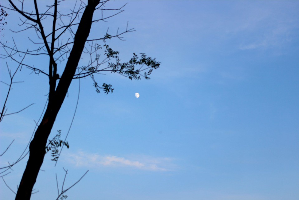 佳能100d拍视频有防抖功能吗,佳能100d单反拍摄效果