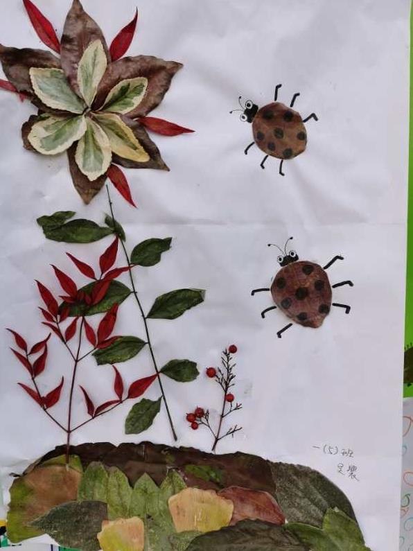 太有创意了！古城实小开展“秋•树叶”为主题的实践活动