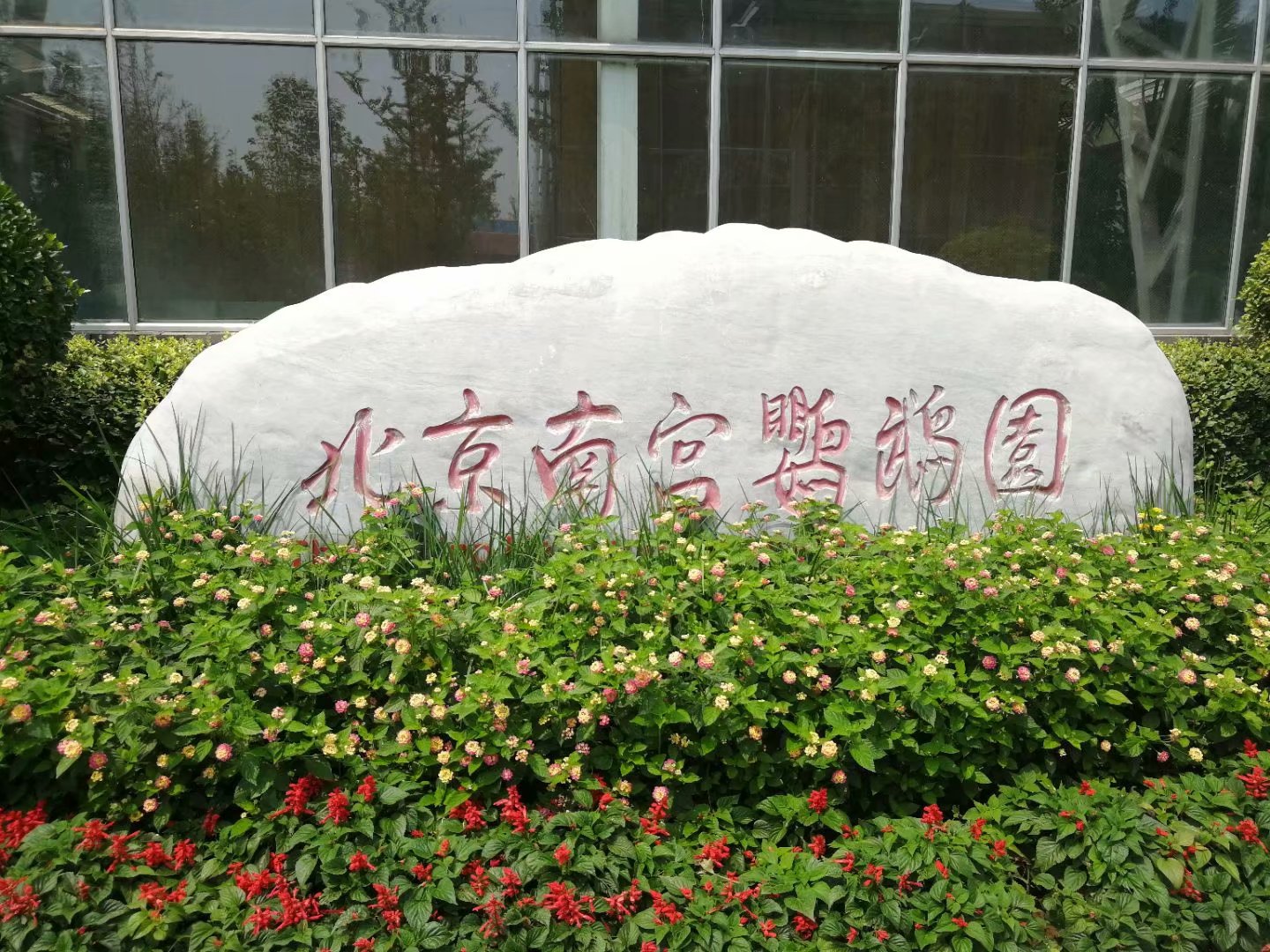 鹦鹉界最容易养熟的几大鹦鹉,鹦鹉界最容易养熟的鹦鹉