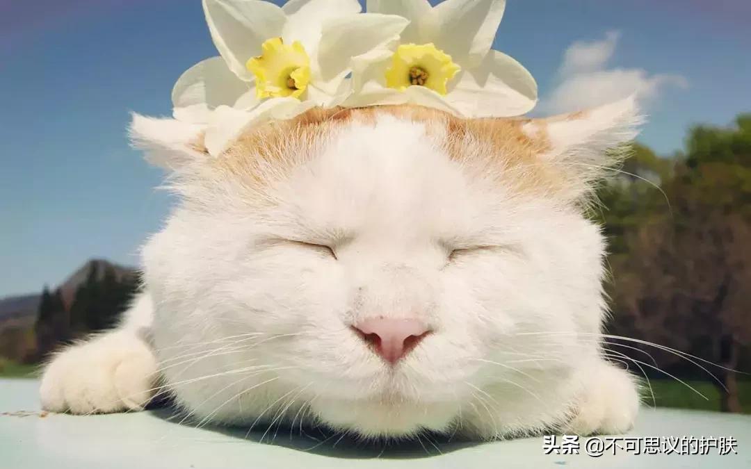 怎么瘦脸都瘦不下来怎么办,想瘦脸真的就瘦不下来了吗