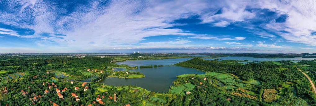 光谷花山未来十年变化,光谷花山潜力
