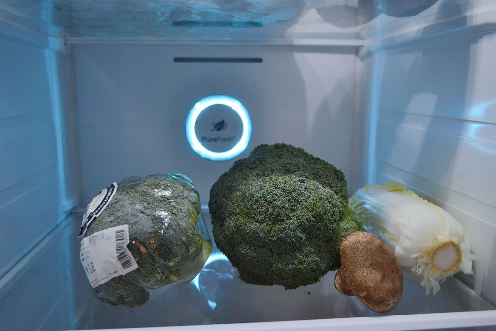 双开门大冰箱价格6万,真正的双开门冰箱价格