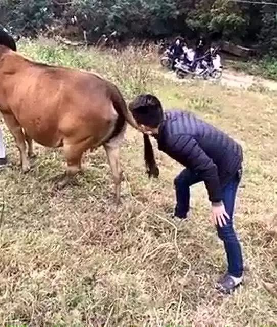 2019年十大*局骗**:教你赚钱、社群学习、伪区块链、人口红利