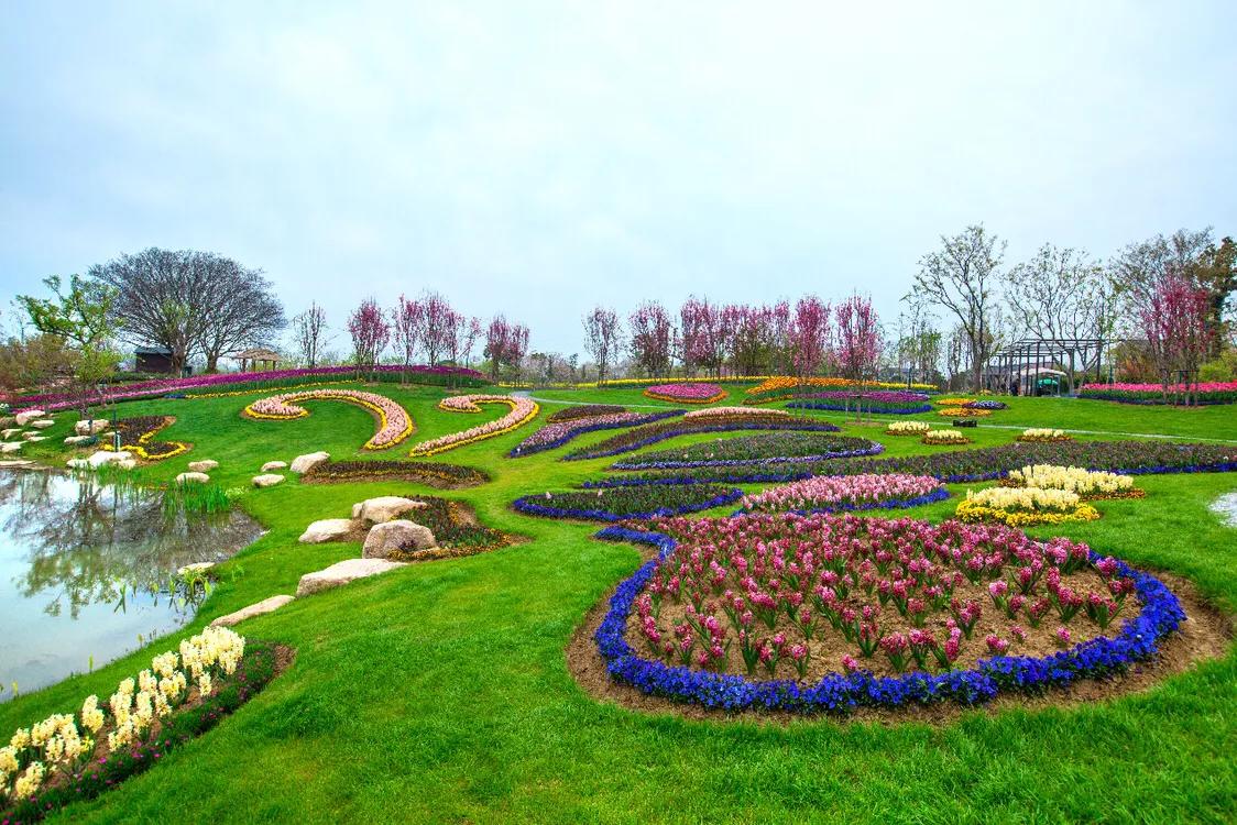 不用去维多利亚!南京溧水惊现布查特花园,文艺值爆表!
