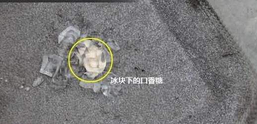 去除榻榻米上油渍污渍的小妙招,厨房瓷砖上油渍污渍简单小妙招