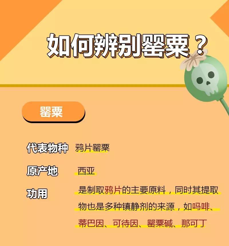 特殊时期的火锅,特殊时期可以吃什么外卖