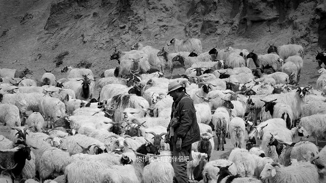 40岁牧羊人被发廊妹骗去16万血汗钱，这电影后劲太大