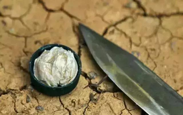 野外生存小技巧怎么过滤水,野外生存取水的正确方法