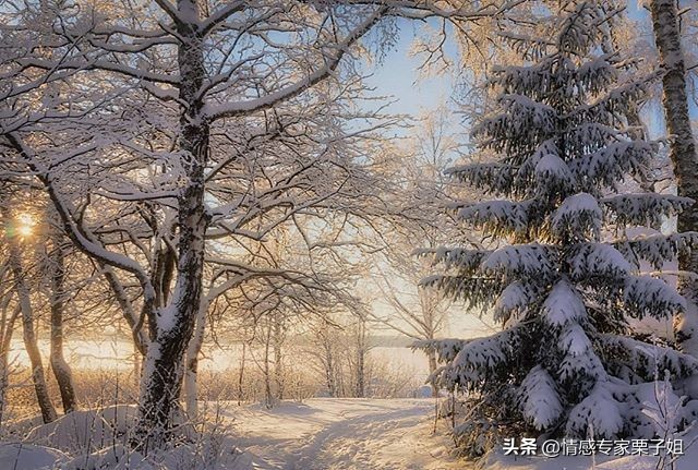 你老婆是胡搅蛮缠，你是老实窝囊