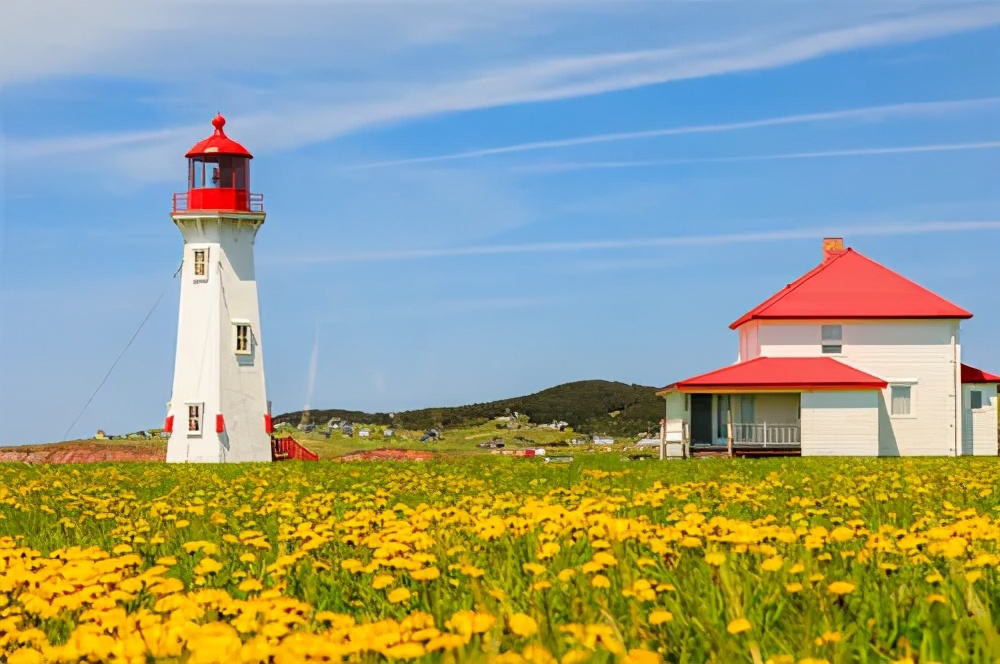 加拿大实力王牌专业你选对了吗,加拿大重点项目排名