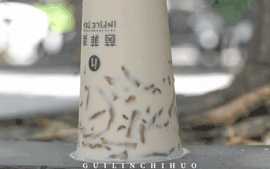 台湾清新奶茶店,台湾小清新奶茶店