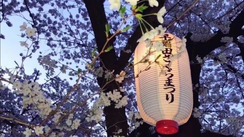 如何温柔地表达我想你了文案,最温柔的表达我想你了