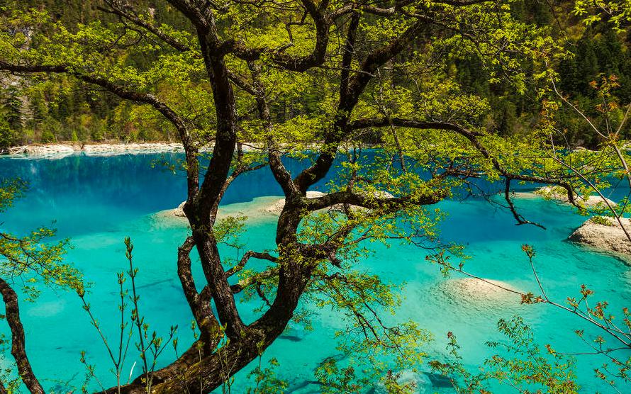 九寨沟旅行自由行攻略最新版,旅游九寨沟自由行攻略图解