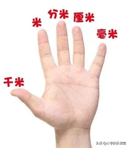 小学数学四年级下册单位换算,青岛版小学数学单位换算整理