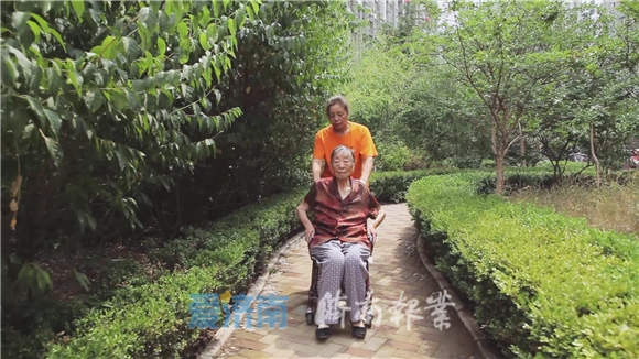 志愿，“镜”见天桥之美