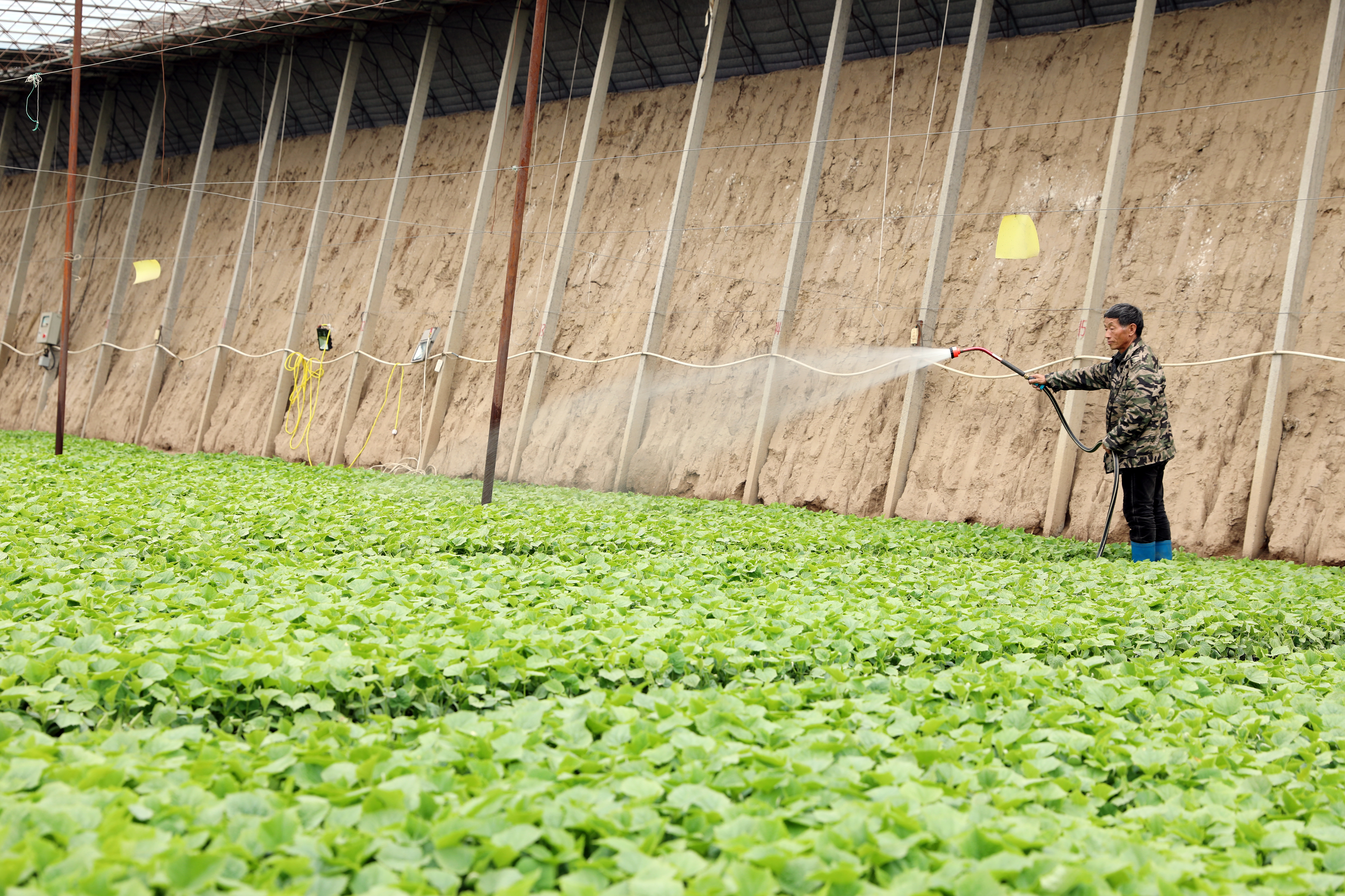 包头市一家科技特派员工作站和两家星创天地获内蒙古自治区后补助项目资金支持