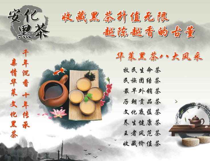 湖南安化黑茶现状,安化黑茶为什么从爆火到销声匿迹
