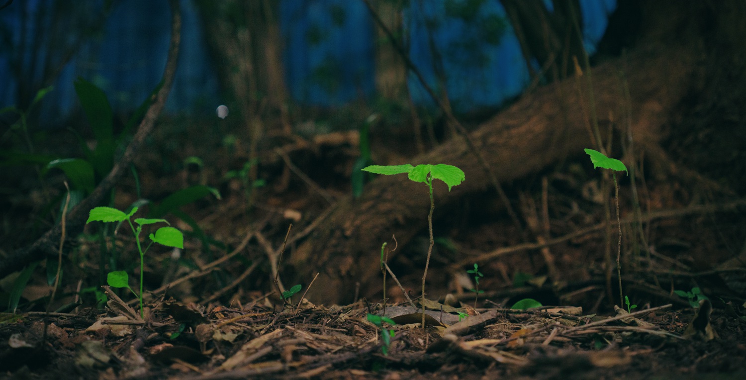 第9篇关于二手（这是个沉重而有趣的话题）