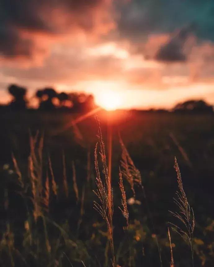 马云人生最大的梦想就是提前退休,马云55岁退休后的感悟