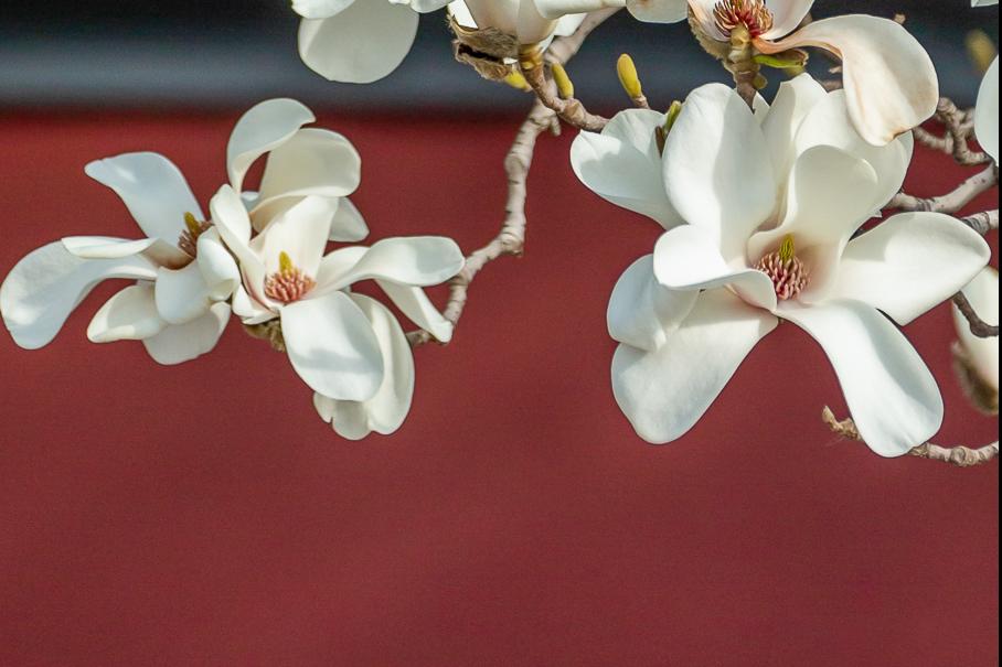 平凡的世界第二部心灵感悟 (再读平凡的世界苦难篇)