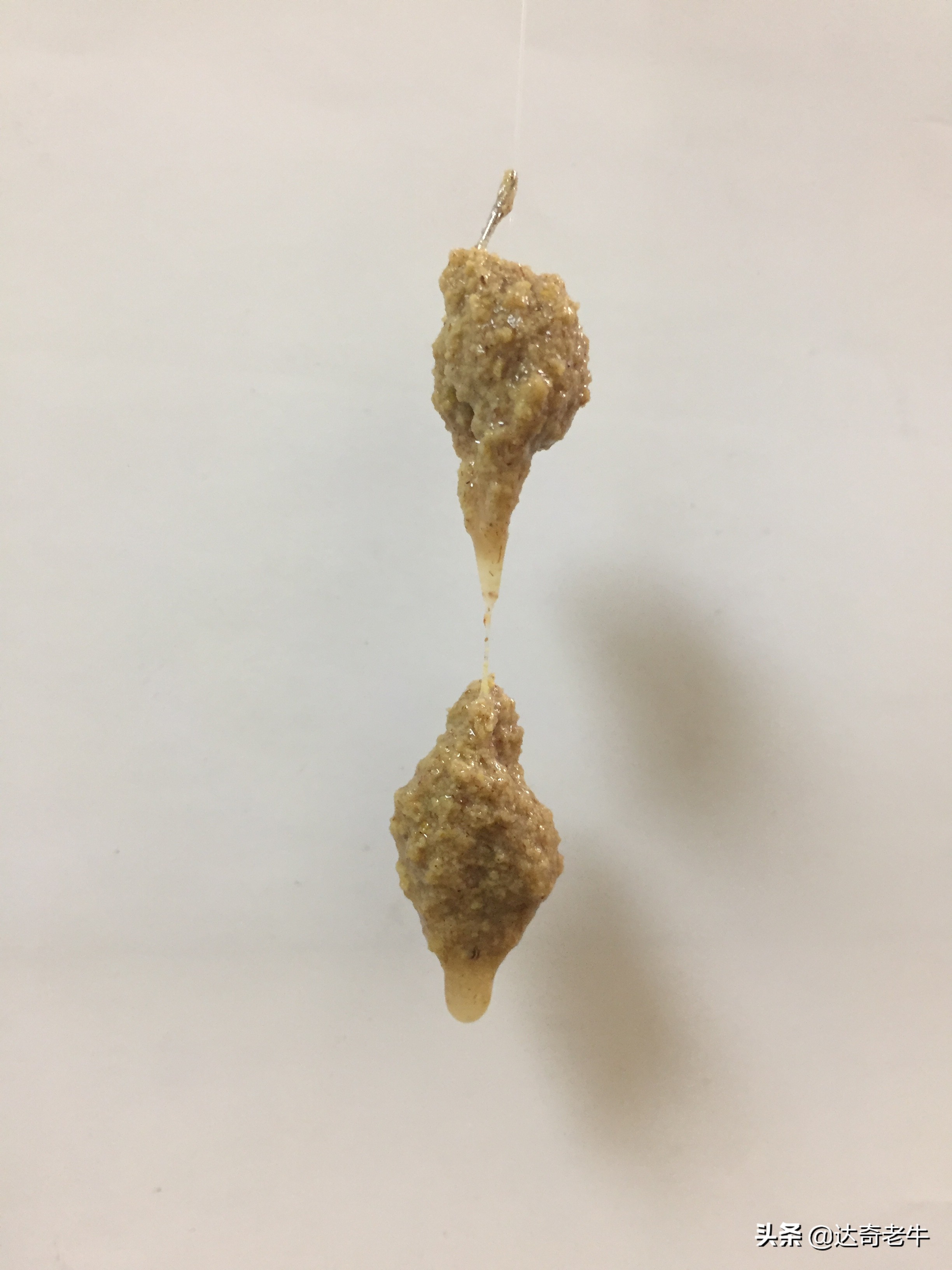 钓鱼界的四款神饵,近期风靡钓鱼圈的饵料