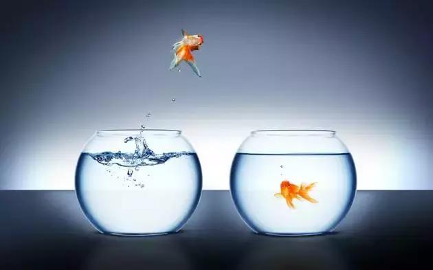 人福药业药品上市,罗生门医药