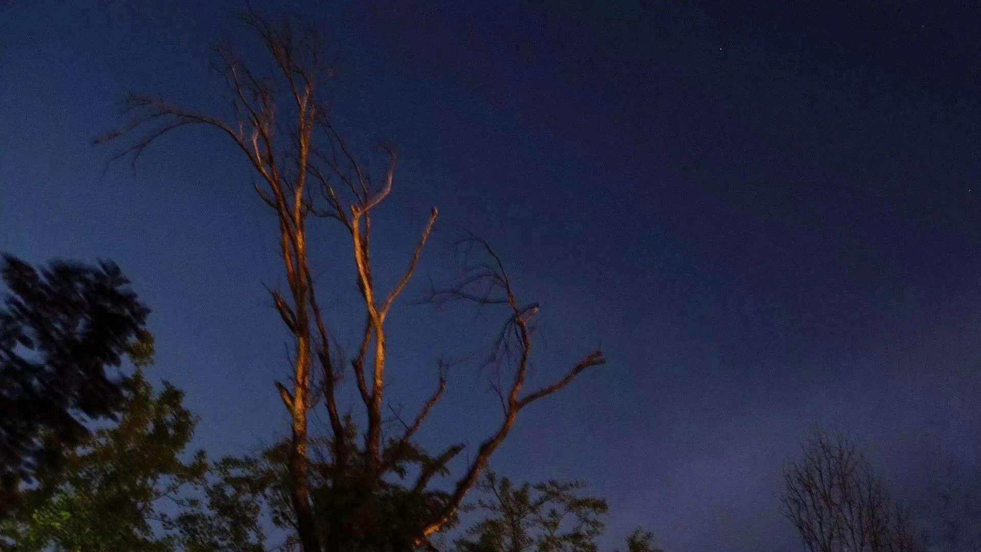 身边的隐形刺客,身边隐形杀手