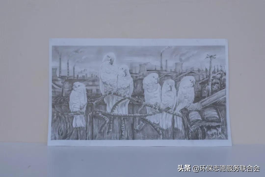 成都高校生态环境大联盟｜废旧物创意设计—四川国际标榜职业学院