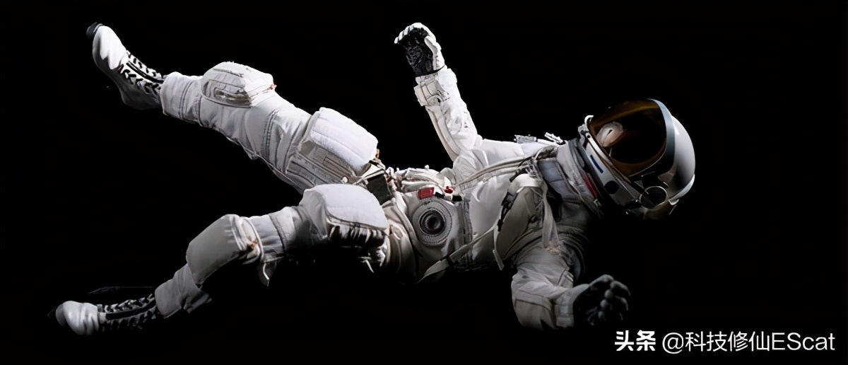 食用菠菜对人体有好处吗,吃菠菜可以预防什么疾病