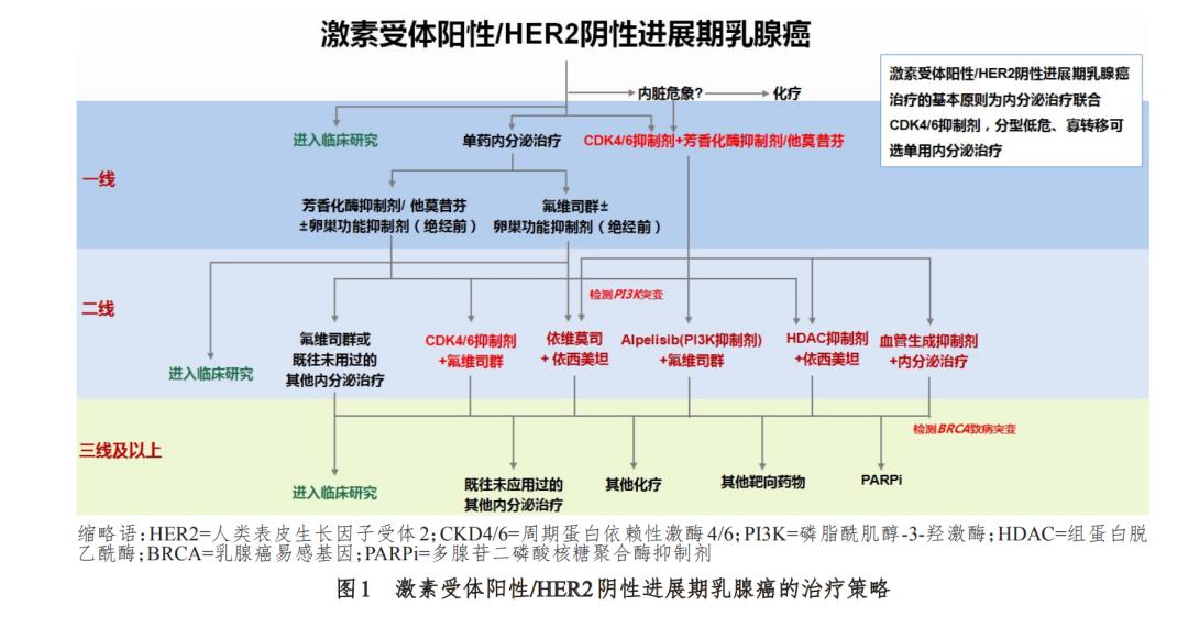 乳腺癌mdt诊疗,疫散花开绽放芳华